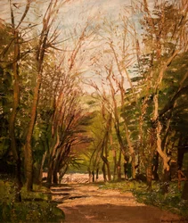  Erdei utnEnglish: Forest_Roadn